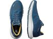 Picture of SALOMON - PREDICT2